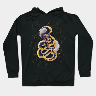 Divine Serpent Hoodie